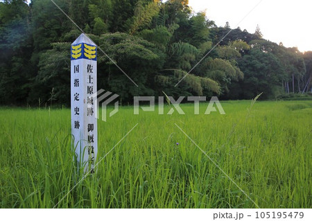 佐土原城 佐土原城 105195479