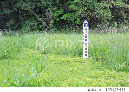 佐土原城 佐土原城 105195481