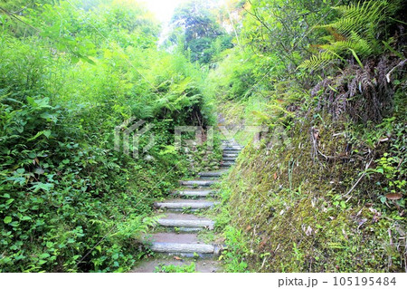 佐土原城 佐土原城 105195484