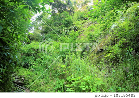 佐土原城 105195485