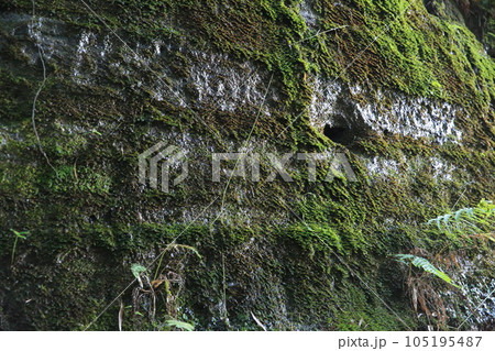佐土原城 佐土原城 105195487
