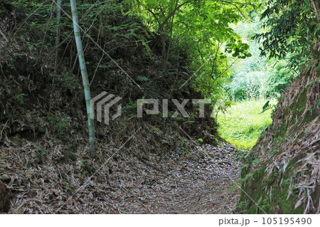 佐土原城 105195490