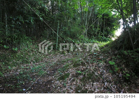 佐土原城 佐土原城 105195494
