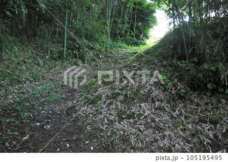 佐土原城 105195495