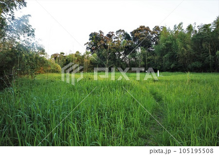 佐土原城 佐土原城 105195508