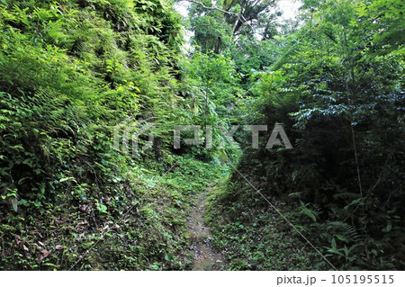 佐土原城 佐土原城 105195515