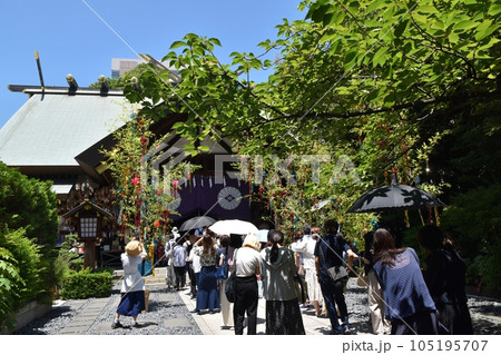 七夕の東京大神宮 東京 七夕の東京大神宮 東京 105195707