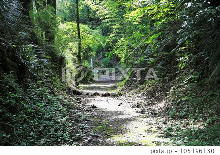 佐土原城 佐土原城 105196130