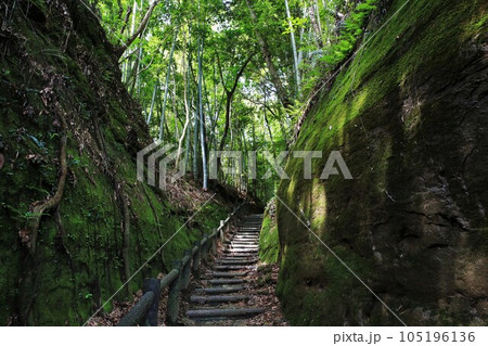 佐土原城 105196136