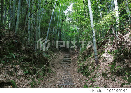 佐土原城 佐土原城 105196143