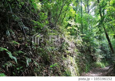 佐土原城 105196152