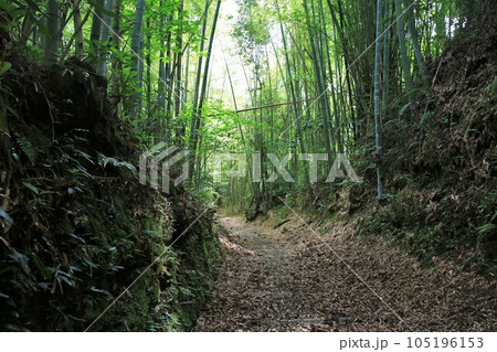 佐土原城 105196153