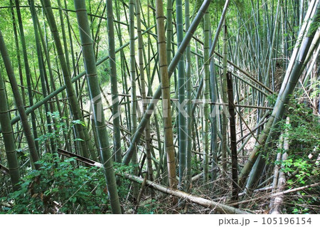 佐土原城 佐土原城 105196154