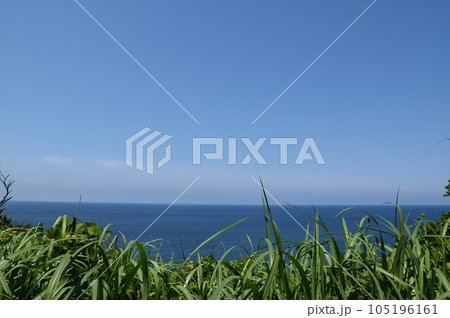 草むらから海　新潟 105196161