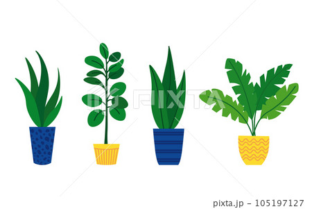 Set of indoor plants in pots in a flat style. 105197127