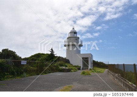 晴れた夏の石廊崎灯台　静岡 105197446