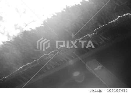 藁ぶき屋根と蝉の抜け殻 藁ぶき屋根と蝉の抜け殻 105197453