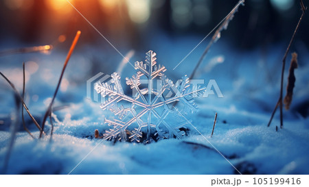 An excellent snowflake against the background of the forest. A great image with a winter theme. Winter forest on a background that gives charm. 105199416