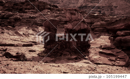 Panorama from bottom of Grand Canyon 105199447
