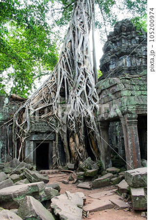Ta Prohm temple in Siem Reap Ta Prohm temple in Siem Reap 105200974