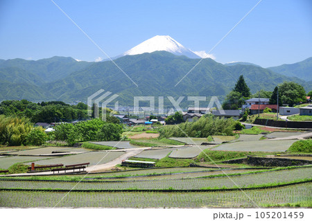 南アルプス市 中野地区の棚田と富士山 105201459