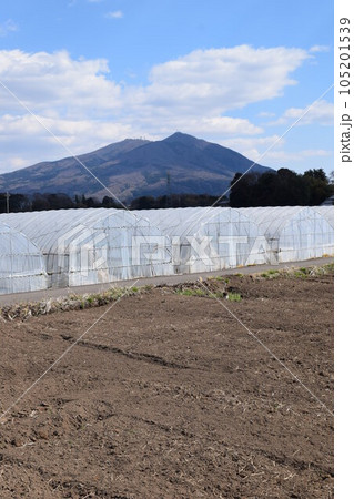 筑波山 日本百名山 日本百景 105201539