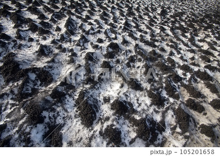 Black snow 2. Direct allegory of human pollution of the Earth. Concept of combining opposite Black snow 2. Direct allegory of human pollution of the Earth. Concept of combining opposite 105201658