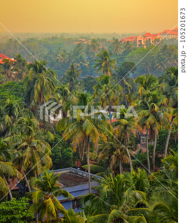 surrounded by palm groves Maharaja Palace surrounded by palm groves Maharaja Palace 105201673