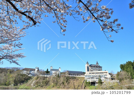 ロイヤル胎内パークホテルと桜（新潟県） 105201799