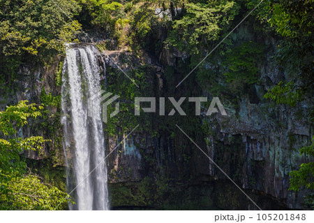熊本県/ 九州を代表する大瀑布 新緑の五老ヶ滝（ごろうがたき） 105201848