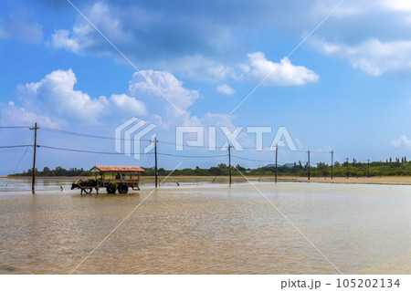 由布島 (10月　西表島　晴れ) 105202134