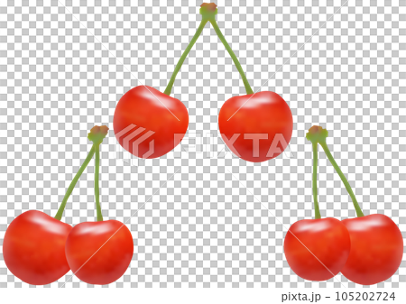 “櫻桃”佐藤錦 2串 3種 105202724