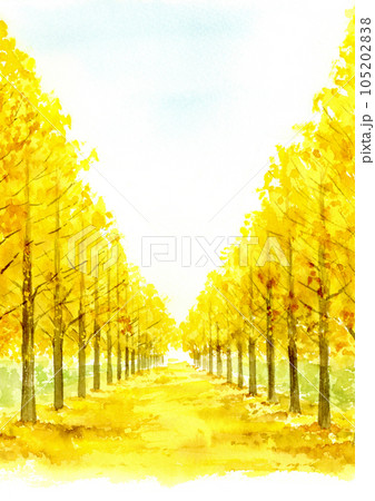 イチョウ並木の水彩画 縦長 A4のイラスト素材 [105202838] - PIXTA