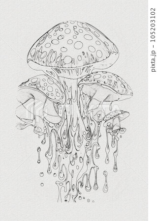 A hand-drawn sketch of a mushroom outline illustration on white texture background A hand-drawn sketch of a mushroom outline illustration on white texture background 105203102