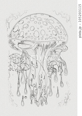 A hand-drawn sketch of a mushroom outline illustration on white texture background A hand-drawn sketch of a mushroom outline illustration on white texture background 105203115