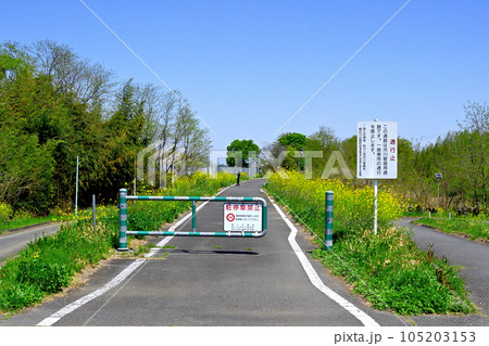 埼玉県坂戸市を流れる高麗川の土手のに設置された柵 埼玉県坂戸市を流れる高麗川の土手のに設置された柵 105203153