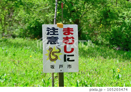 浅羽ビオトープ公園の道路脇に立てられたマムシ注意の立て看板 105203474