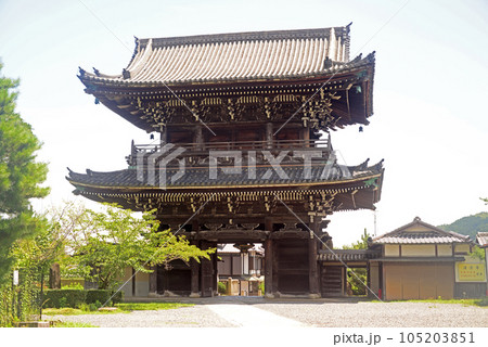 京都清涼寺仁王門-4 京都清涼寺仁王門-4 105203851