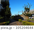 歩道から見た風景 105204644