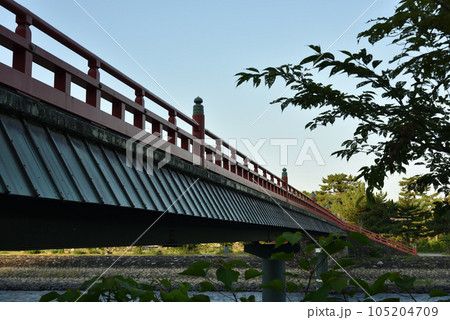 朝の朝霧橋　宇治 105204709