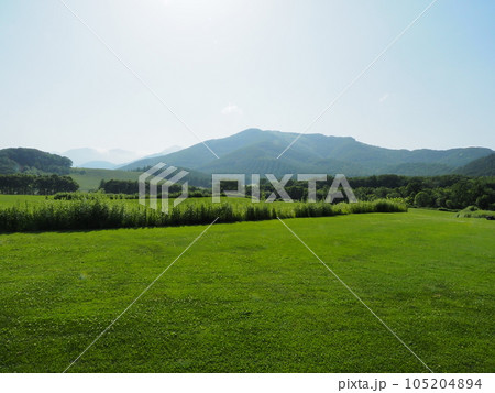 十勝千年の森風景 105204894