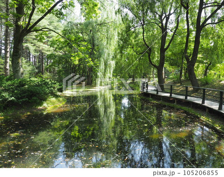 真鍋庭園の風景 105206855