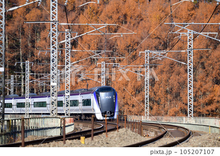 錦秋のカラマツ林を背景にカーブを走る中央本線特急電車 105207107