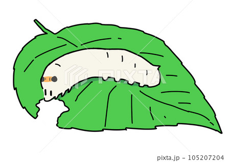 葉っぱに乗るかわいい蚕のイラスト 105207204