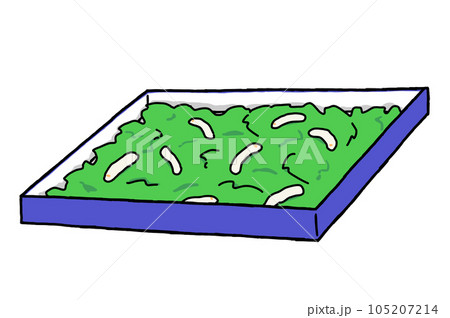 箱で飼育される蚕のイラスト 105207214