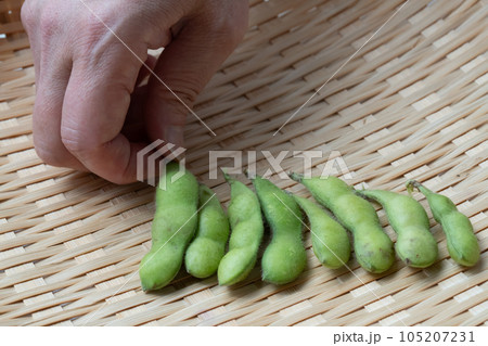 枝豆 枝付き 枝豆 枝付き 105207231