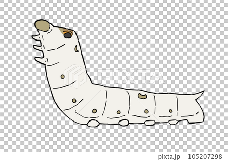 リアルな蚕のイラスト 105207298