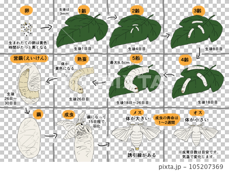 蠶生活插畫集 蠶生活插畫集 105207369