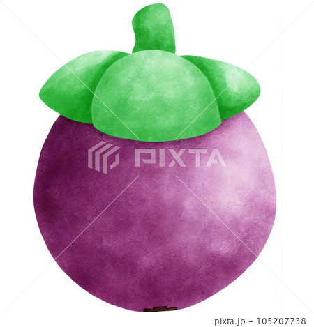 Fruit Watercolor hand draw 105207738
