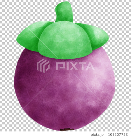 Fruit Watercolor hand draw 105207738